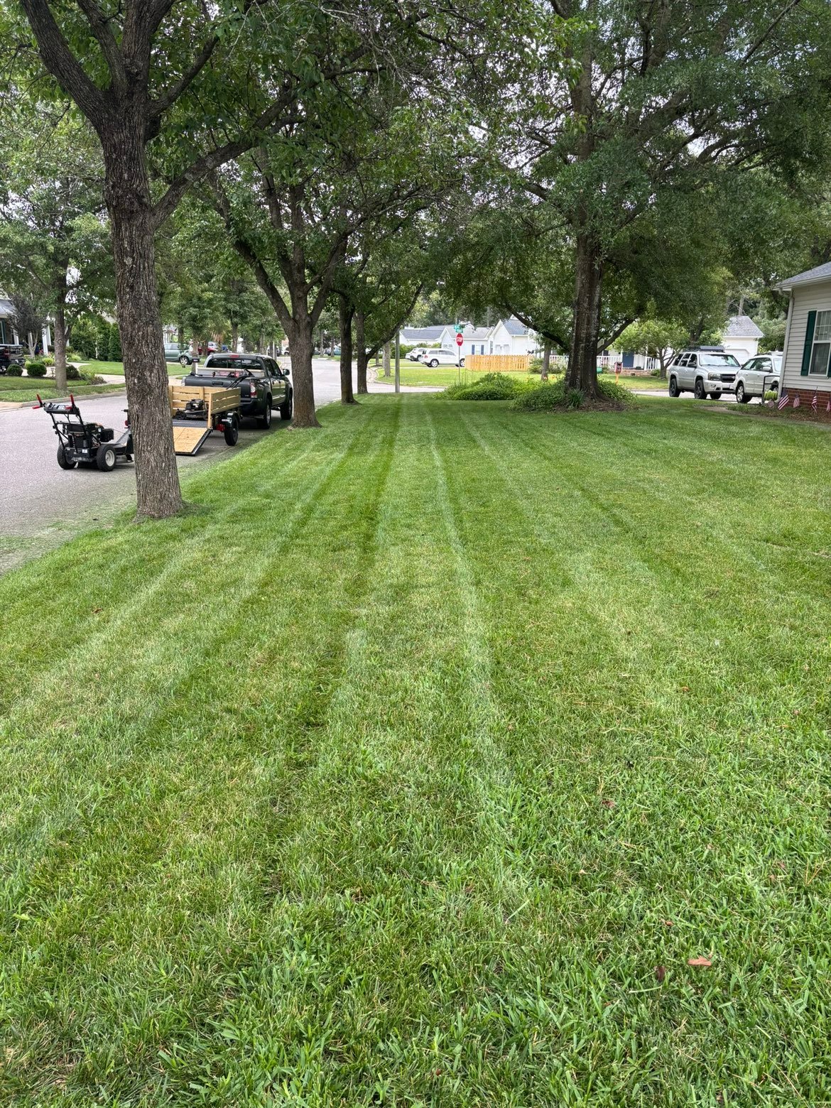 Well-manicured lawn with diagonal mowing stripes, lined with mature trees, parked vehicles, and houses visible in background