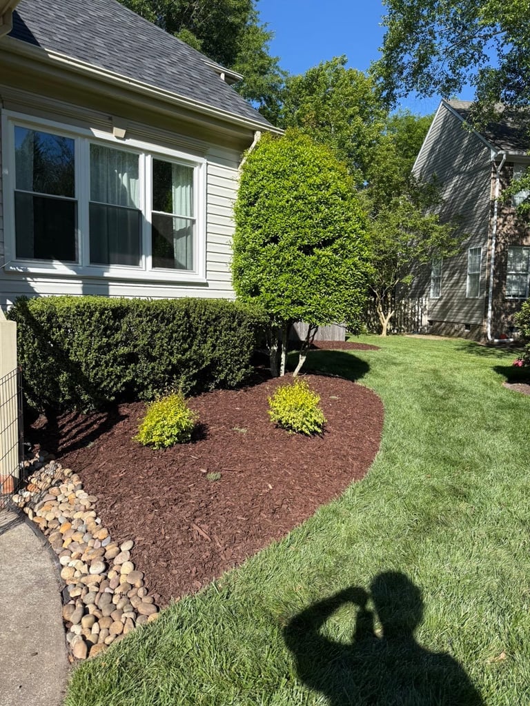 Front yard of a house with white siding, landscaped with mulch, shrubs, ornamental grasses, and river rocks, green lawn, and trees in background
