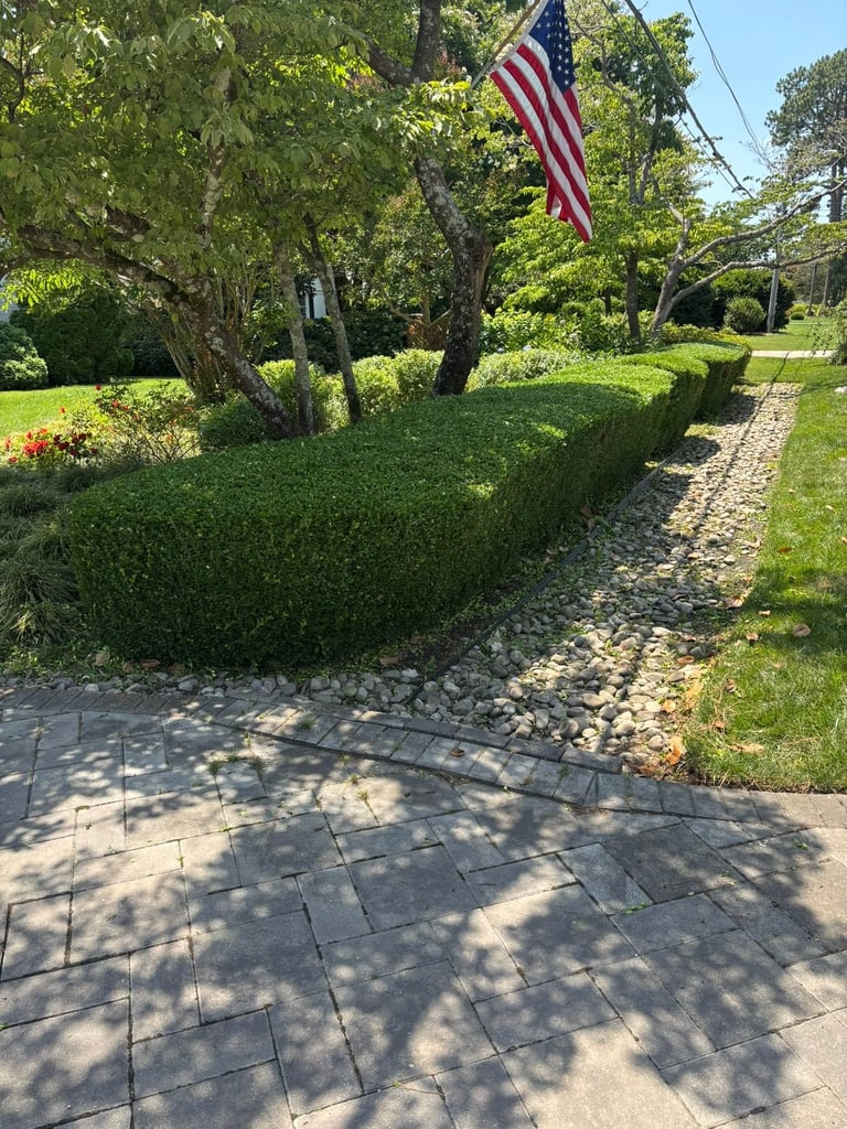 American flag hanging from large tree in residential yard with manicured hedges and brick pathway